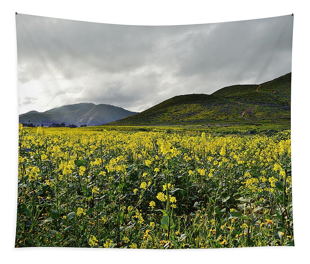 Wildflowers Tapestry featuring the photograph After The Rains - Southern California by Glenn McCarthy Art and Photography
