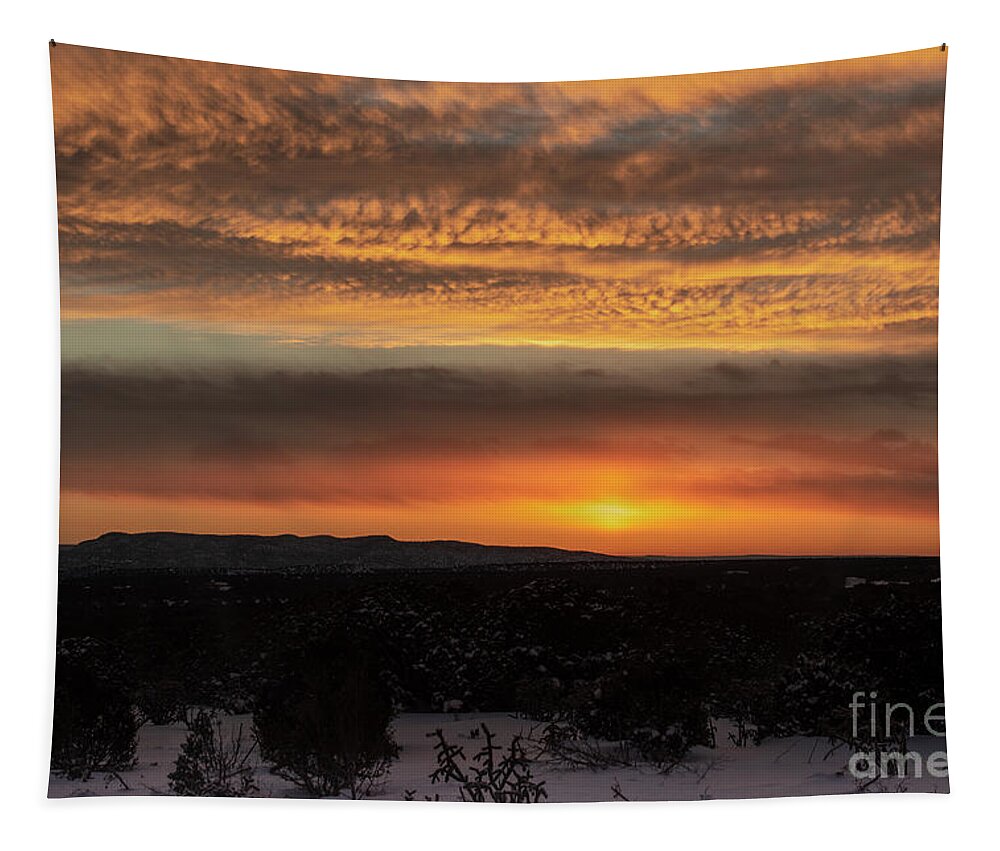Natanson Tapestry featuring the photograph After the Storm 2019 by Steven Natanson