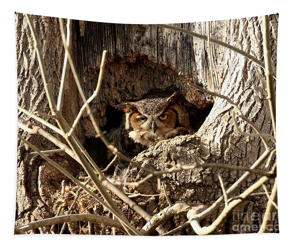 Great Horned Owl Tapestry featuring the photograph Afternoon Sun by Heather King