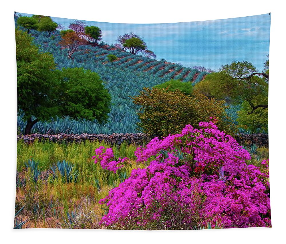 Flora Tapestry featuring the photograph Agave and Bugainvillea by Robert McKinstry