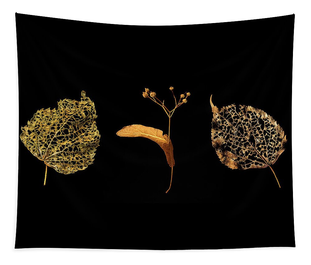 Still Life Tapestry featuring the photograph Aged Beauties by Ira Marcus
