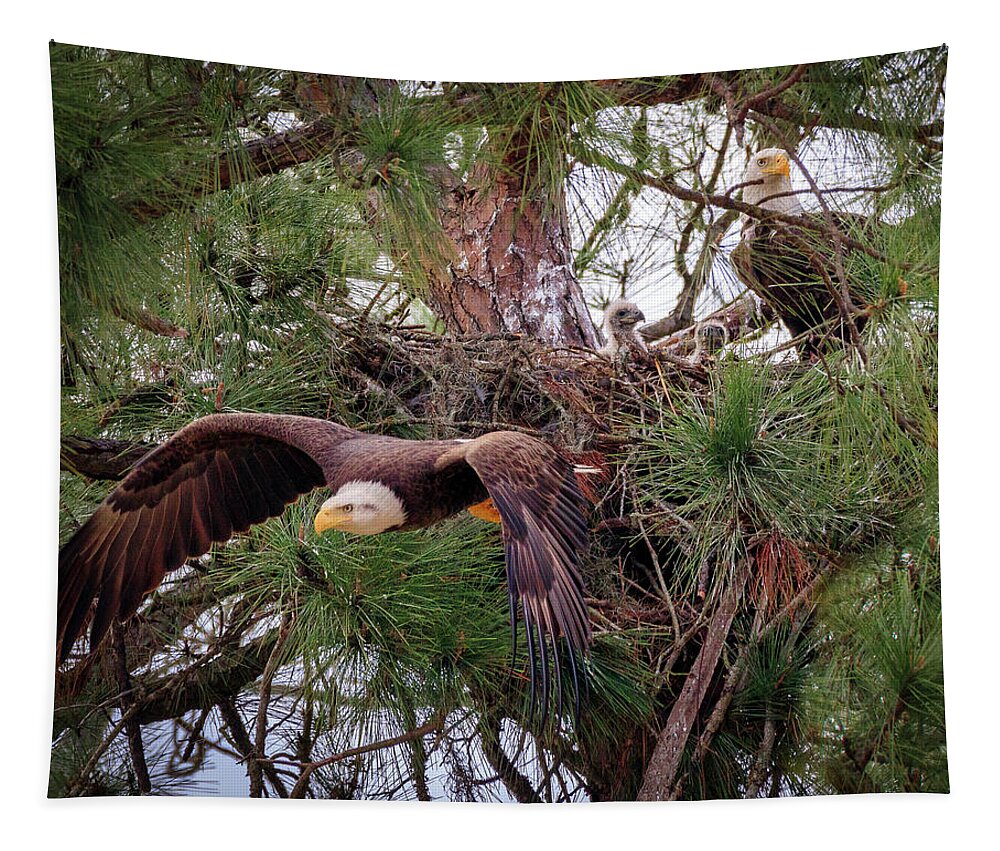 Eagle Tapestry featuring the photograph All About Family by JASawyer Imaging
