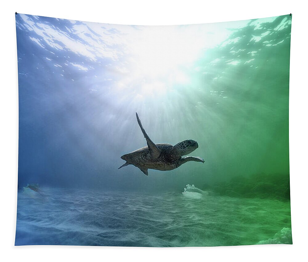 Underwater Tapestry featuring the photograph All Alone But Oh So Happy by Johanna Hurmerinta