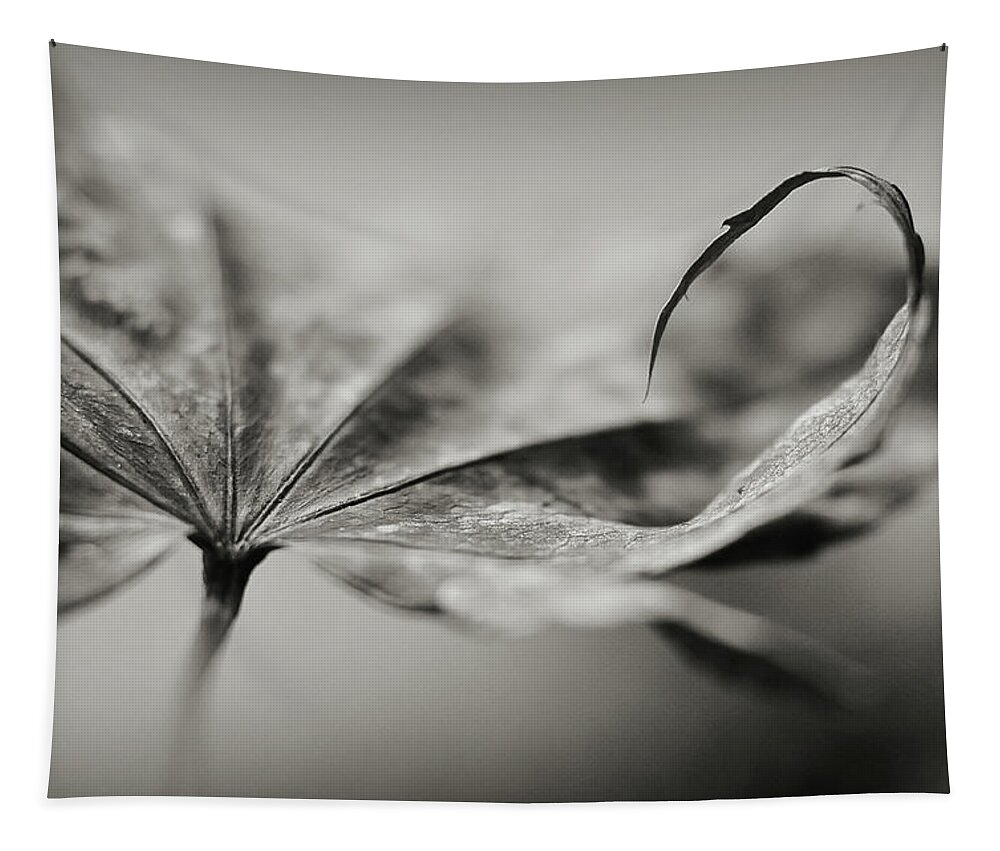 Black And White Tapestry featuring the photograph All In by Michelle Wermuth