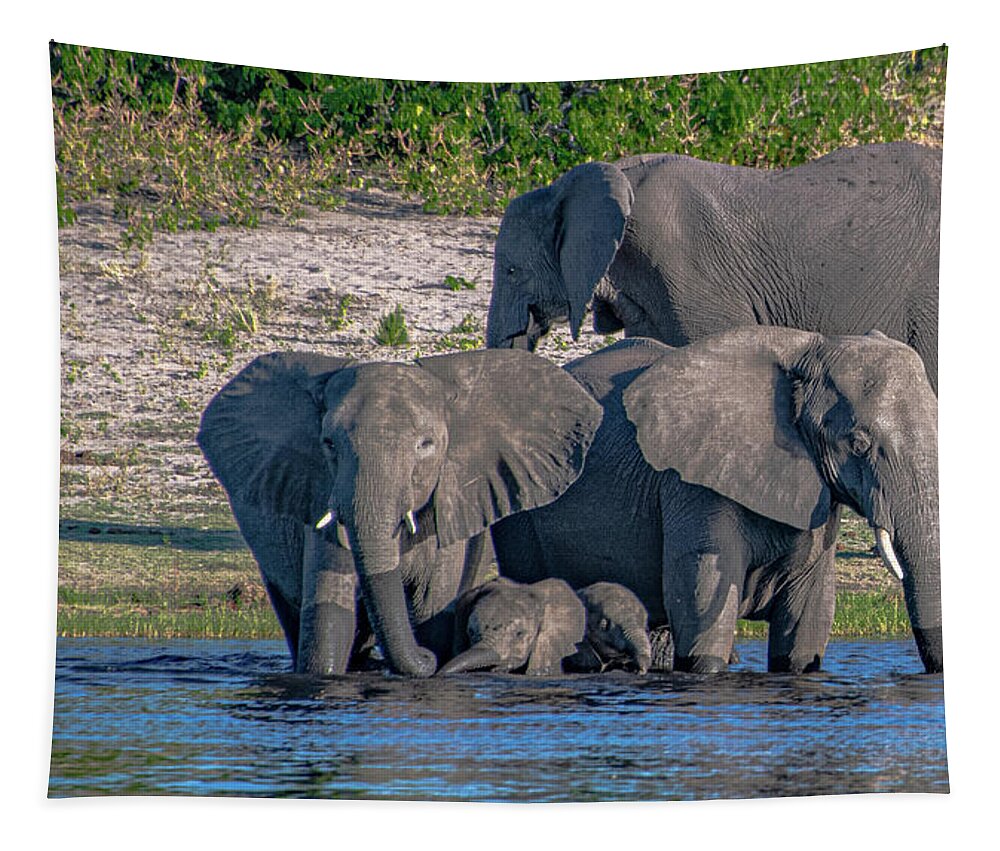 Elephants Tapestry featuring the photograph All in the Family by Marcy Wielfaert