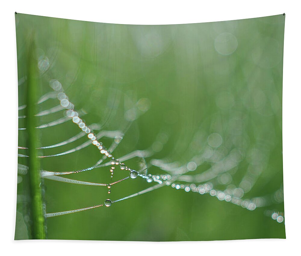 Green Tapestry featuring the photograph Amazing by Michelle Wermuth