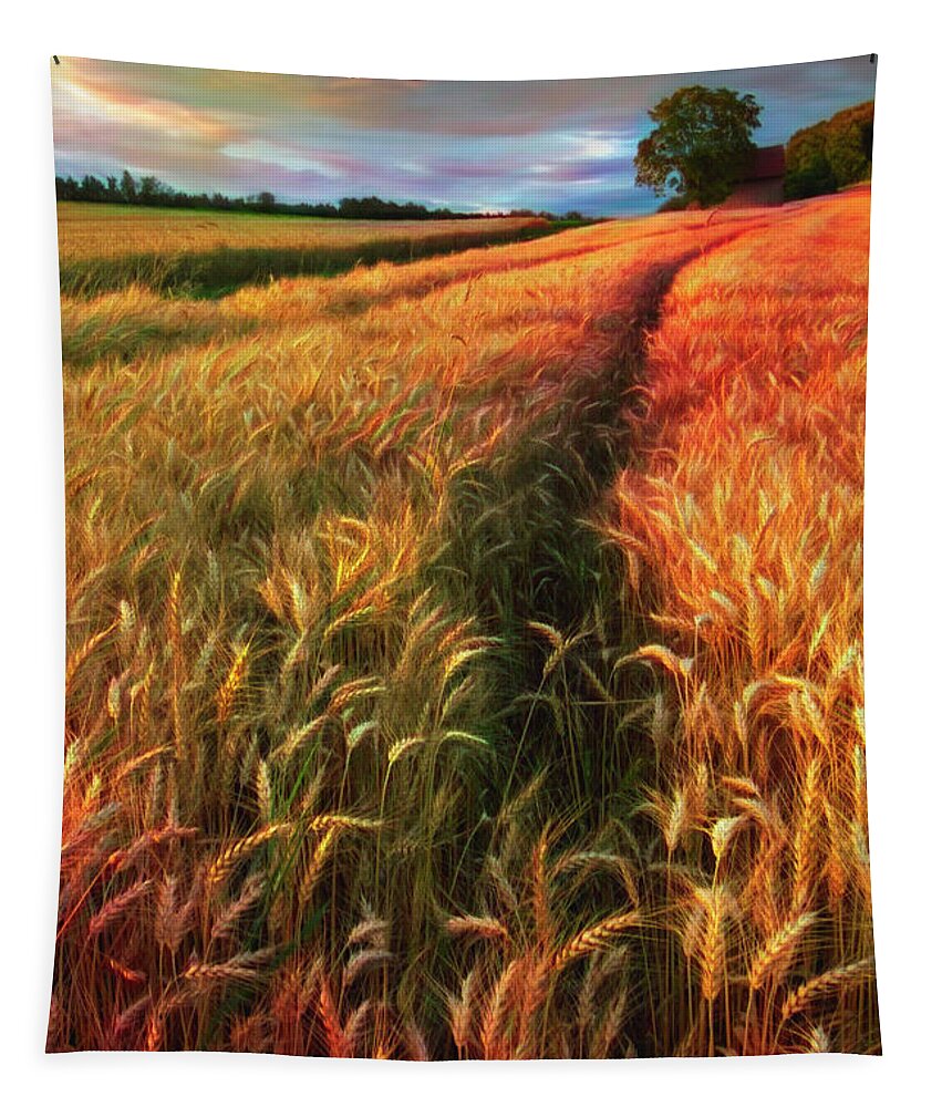 Barn Tapestry featuring the photograph Amber Waves of Grain Watercolors Painting by Debra and Dave Vanderlaan