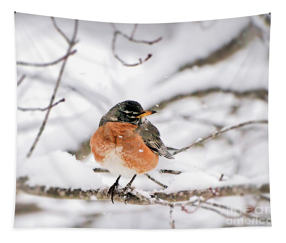 Robin Tapestry featuring the photograph American Robin in the Snow by Kerri Farley