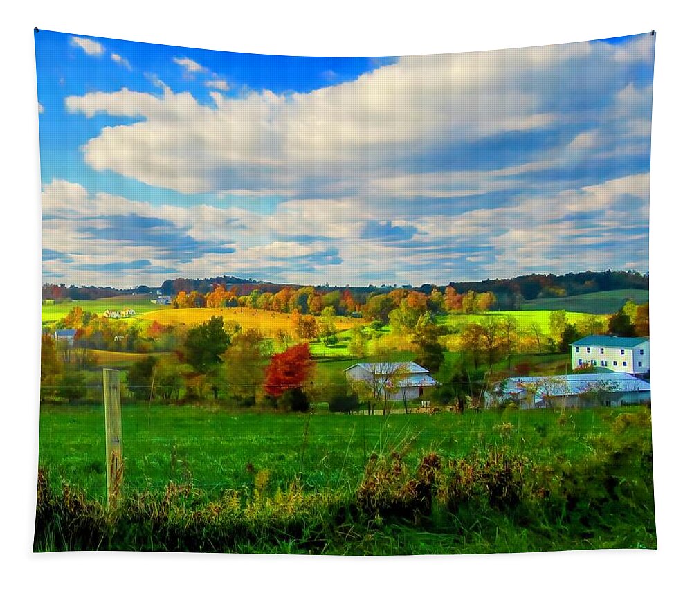  Tapestry featuring the photograph Amish Farm Beauty by Jack Wilson