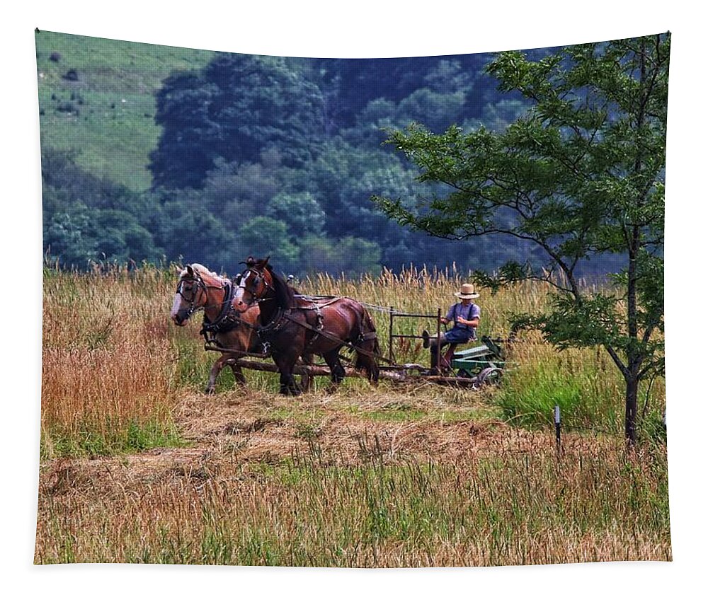 Amish Tapestry featuring the photograph Amish farming by Susan Jensen