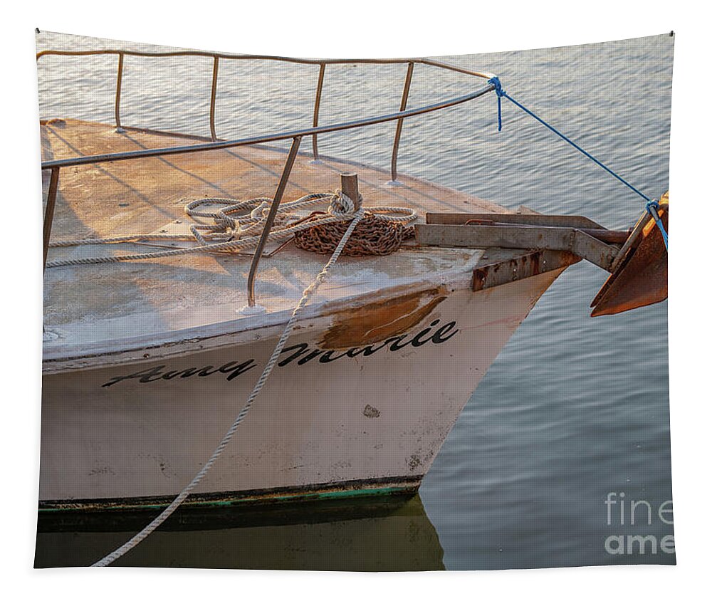 Amy Marie Tapestry featuring the photograph Amy Marie - Pleasure Boat by Dale Powell