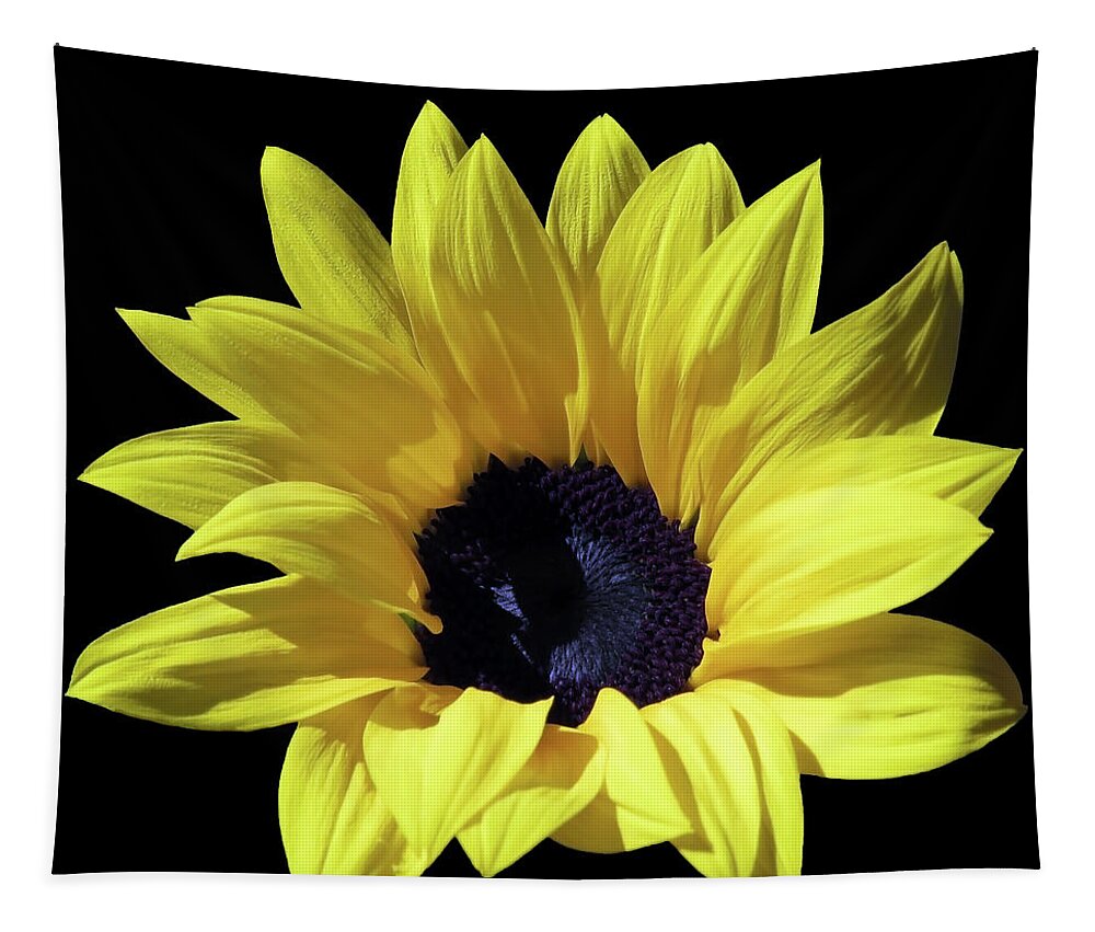Sunflower Tapestry featuring the photograph An Amazingly Beautiful Sunflower In The Sunlight by Johanna Hurmerinta