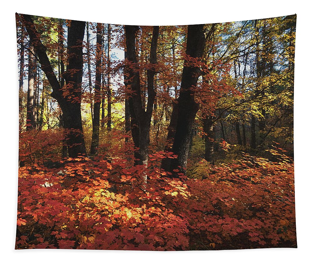 Autumn Tapestry featuring the photograph An Autumn Maple Forest by Saija Lehtonen