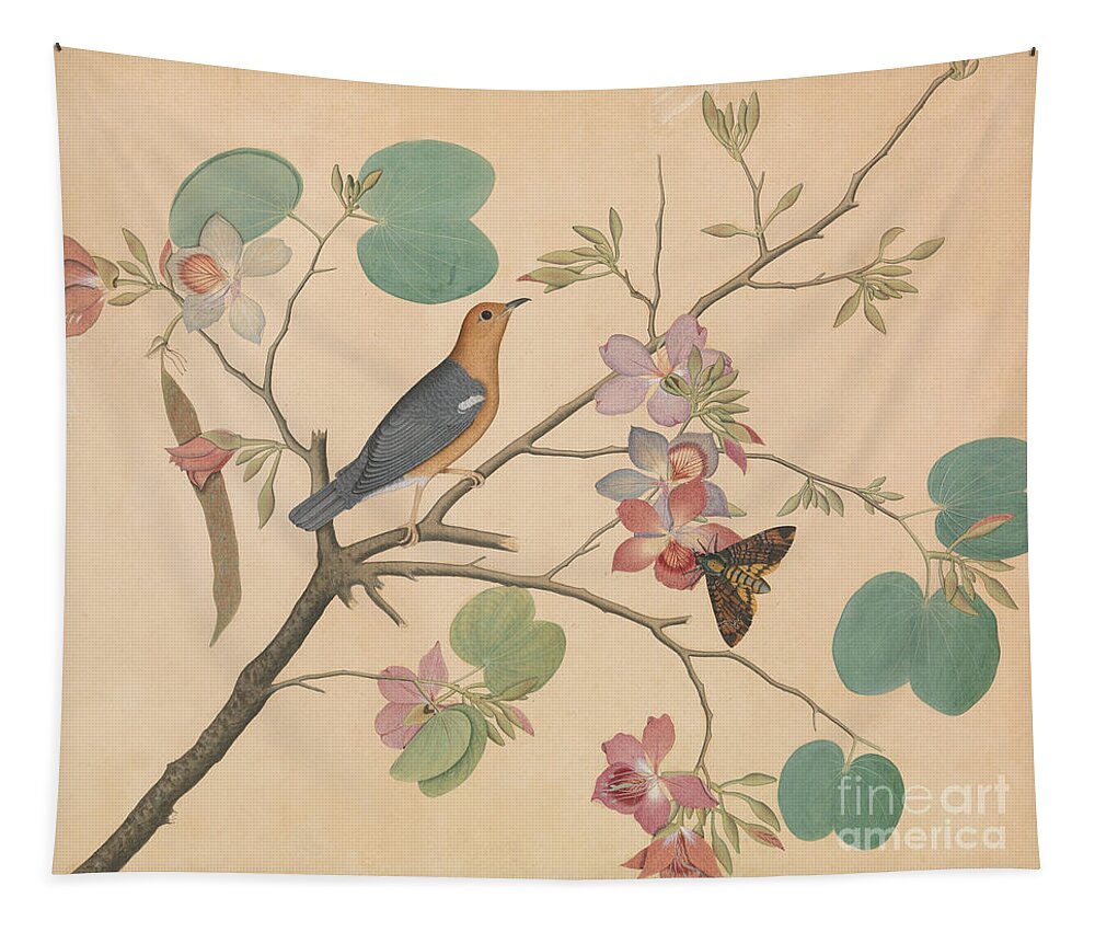 Orchid Tapestry featuring the painting An Orange Headed Ground Thrush and a Deaths Head Moth on a Purple Ebony Orchid Branch, 1788 by Sheikh Zainuddin
