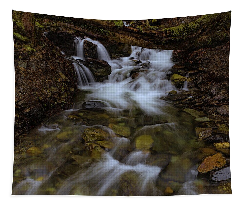 California Tapestry featuring the photograph An Unkown Creek in the Feather River Canyon by Don Hoekwater Photography