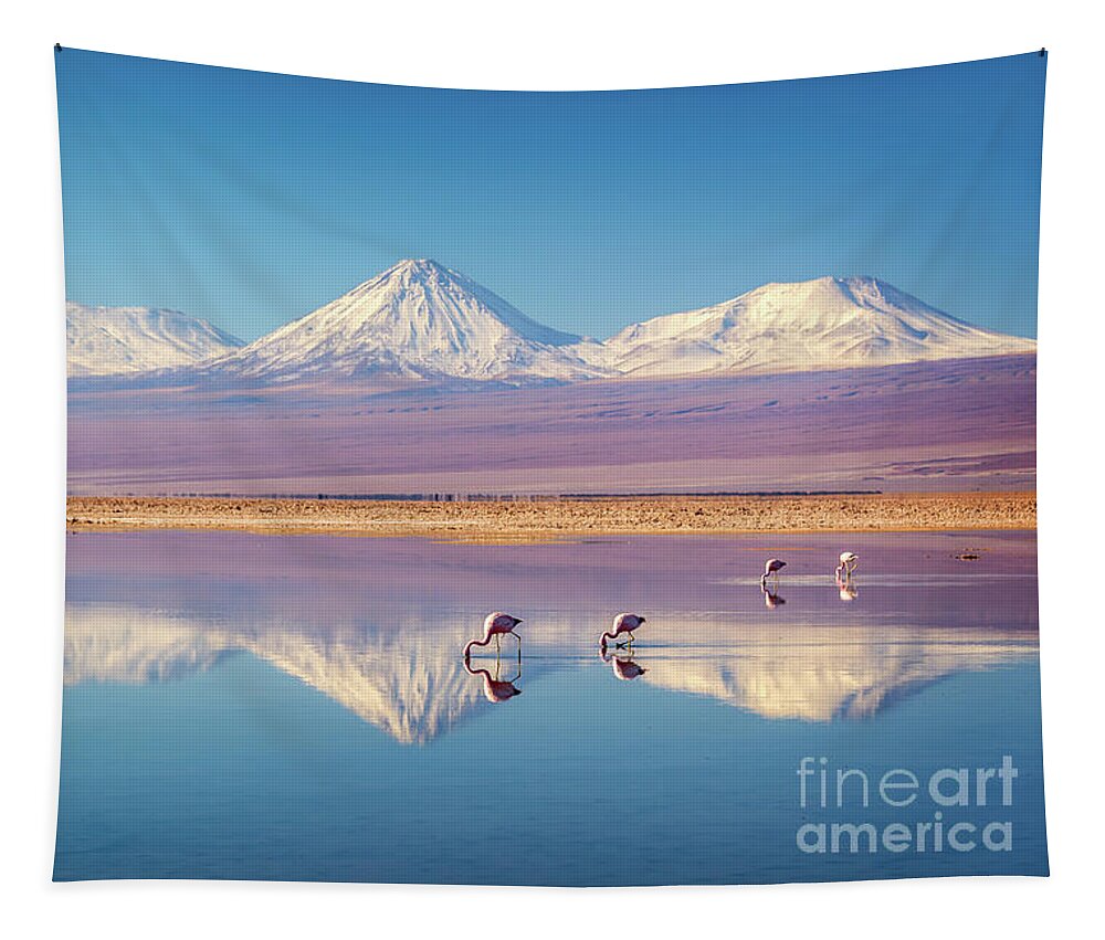Chile Tapestry featuring the photograph Andean flamingos in Atacama salar, Chile by Delphimages Photo Creations