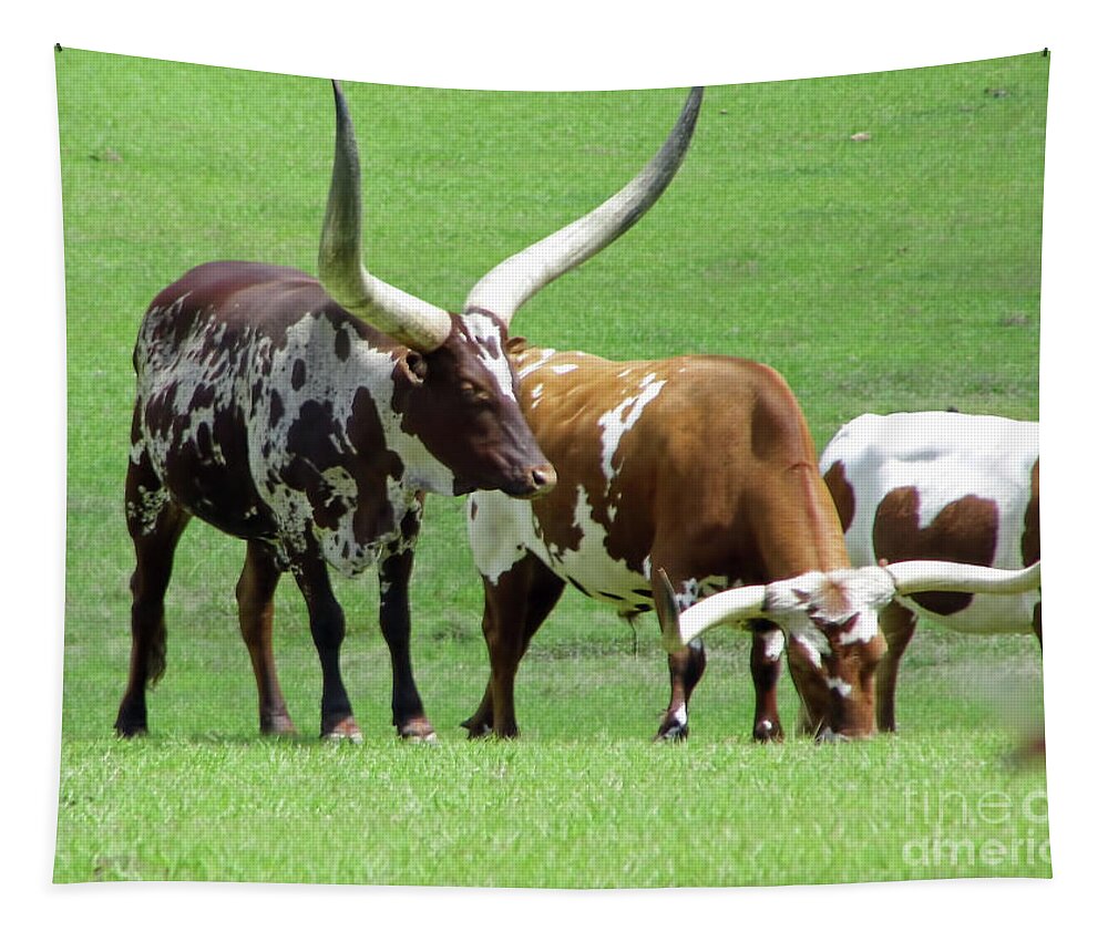 Ankole Tapestry featuring the photograph Ankole And Texas Longhorn Cattle by D Hackett