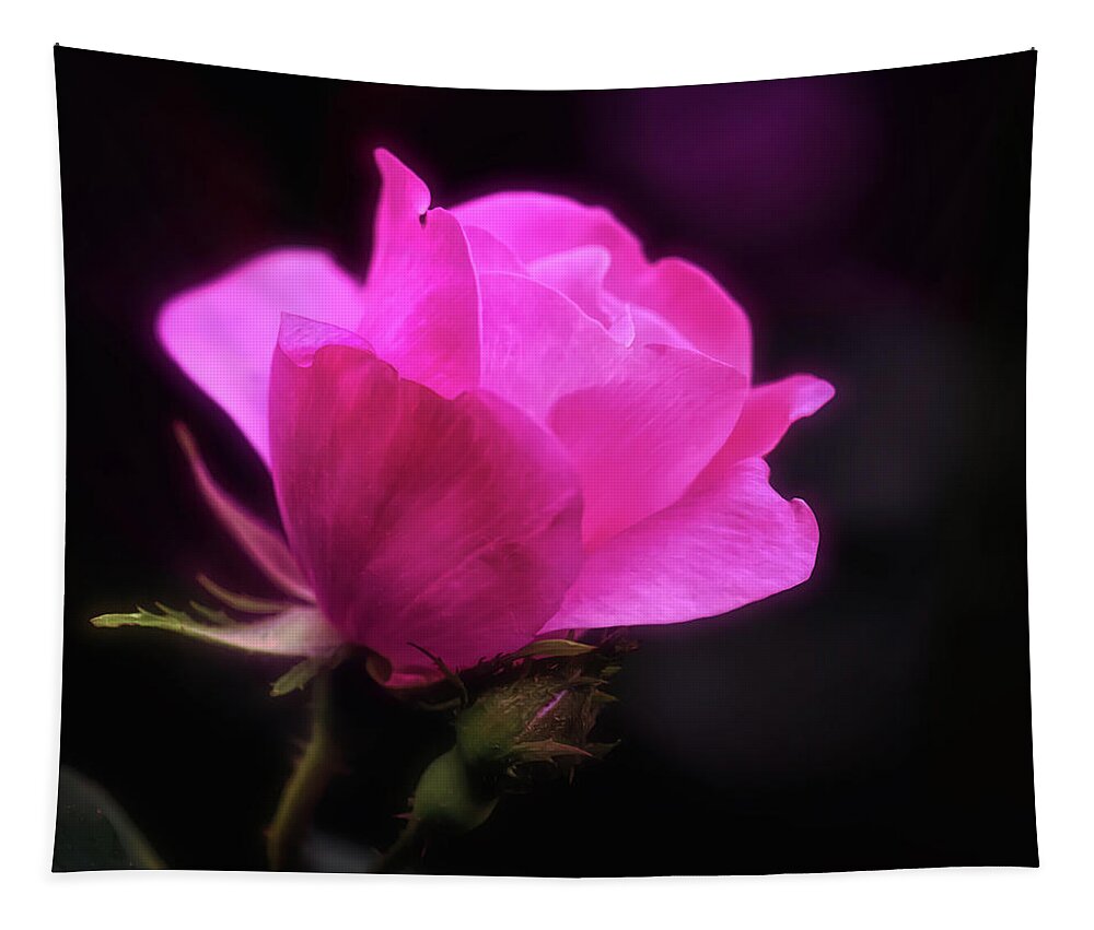 Rose Tapestry featuring the photograph Anniversary Rose by Anita Pollak