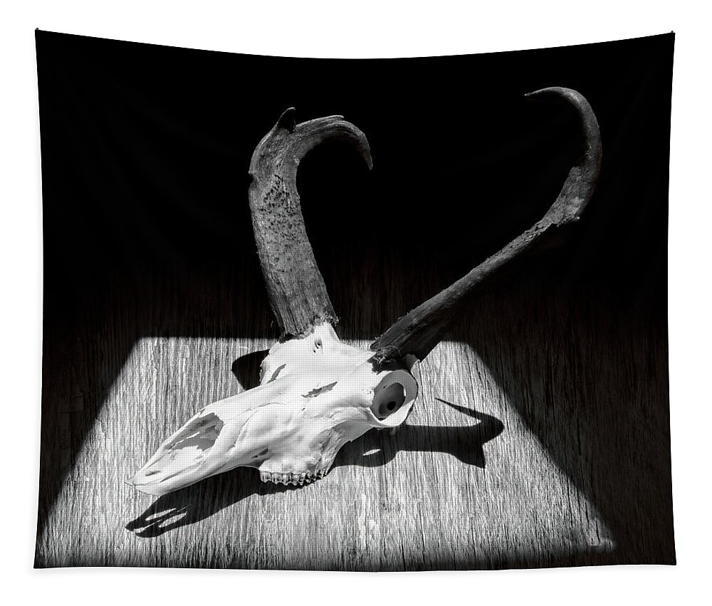 Kansas Tapestry featuring the photograph Antelope 003 by Rob Graham