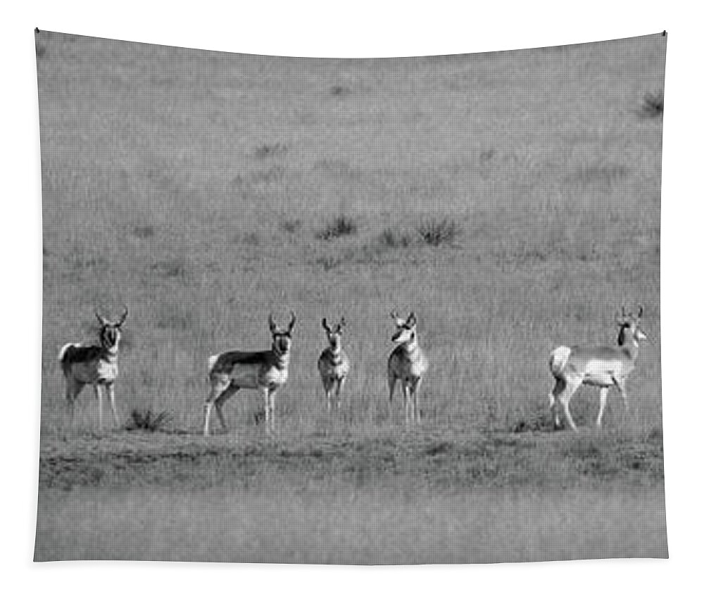 Richard E. Porter Tapestry featuring the photograph Antelope - Hwy. 207, Texas Panhandle by Richard Porter