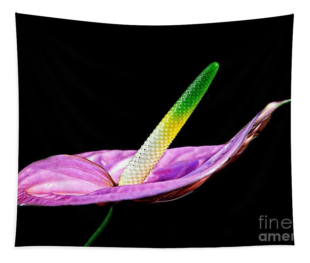 Flower Tapestry featuring the photograph Anthurium by Alex Morales