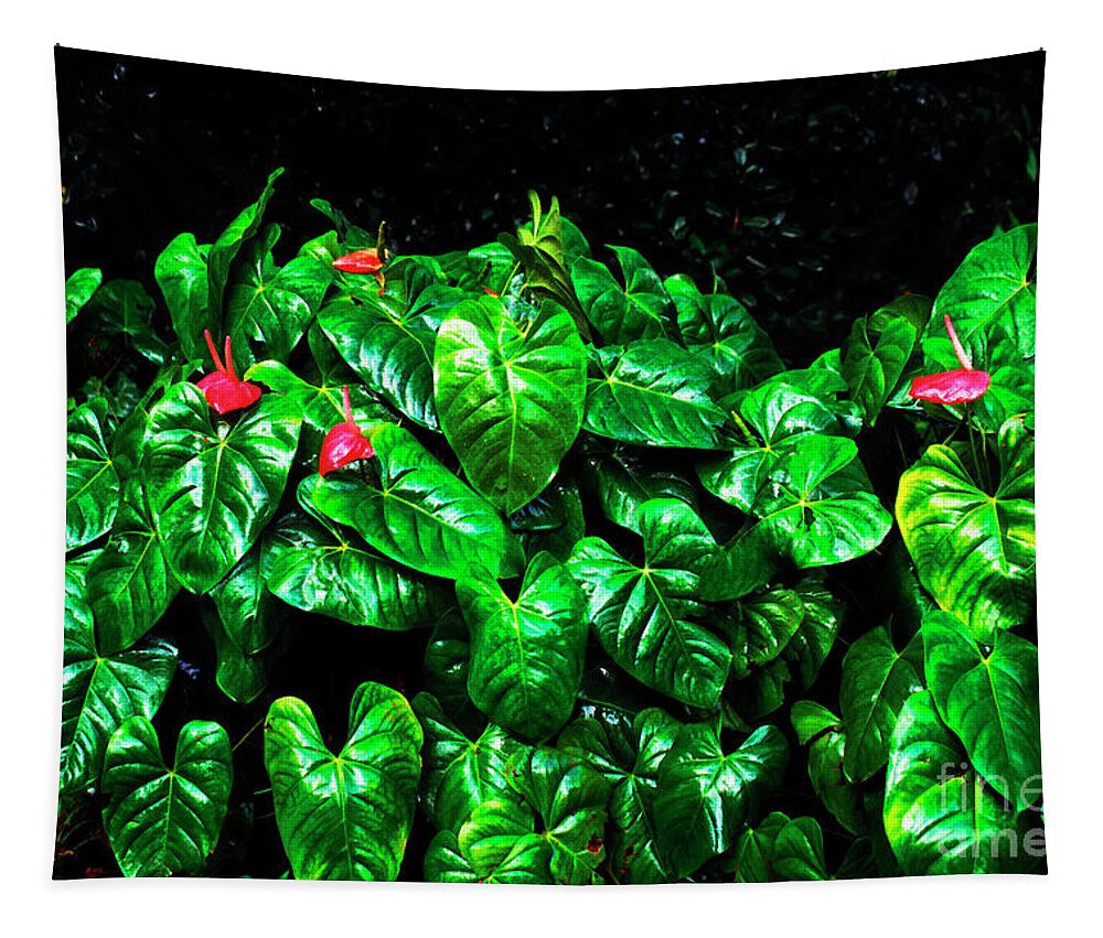 Anthurium Tapestry featuring the photograph Anthuriums in the Rain by Thomas R Fletcher