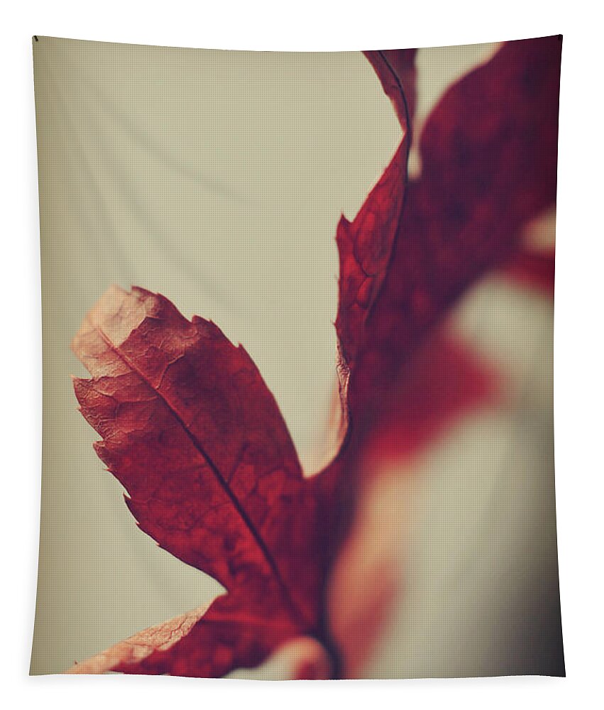 Red Leaf Tapestry featuring the photograph Anxious Nights by Michelle Wermuth