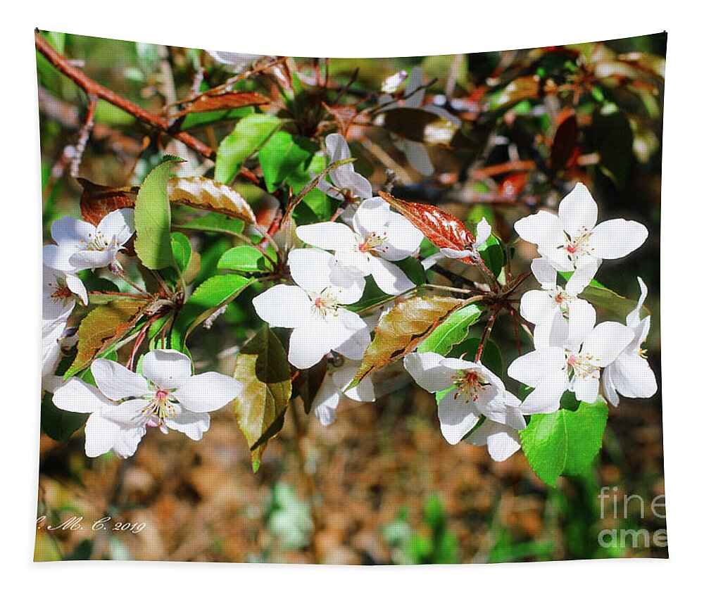 Apple Blossom Tapestry featuring the digital art Apple Blossom 2019 by Donna L Munro