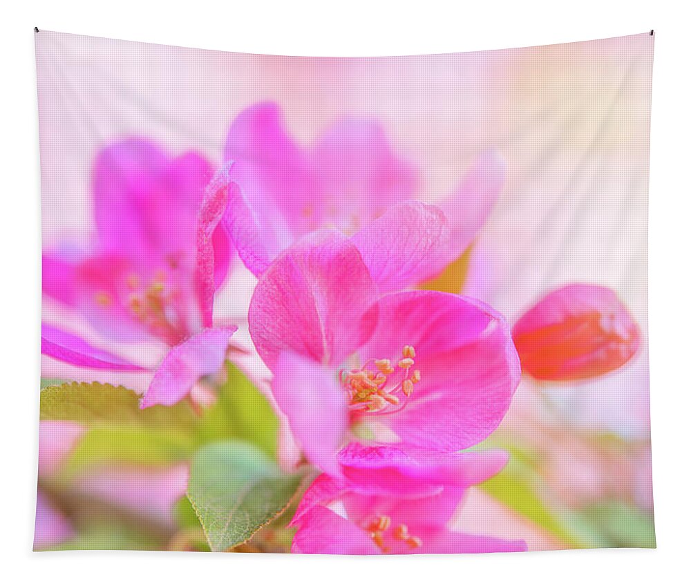 Nature Tapestry featuring the photograph Apple Blossoms Colorful Glow by Leland D Howard