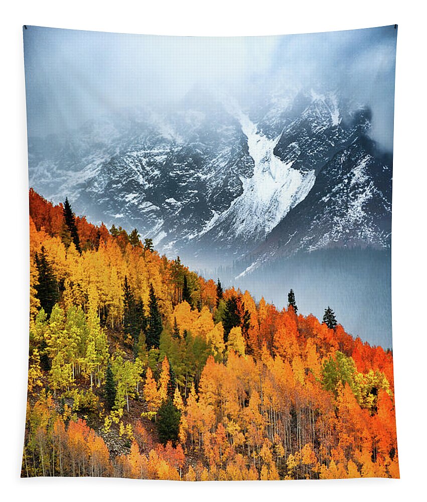 Snowstorm Tapestry featuring the photograph Impending Whiteout by Susan Warren
