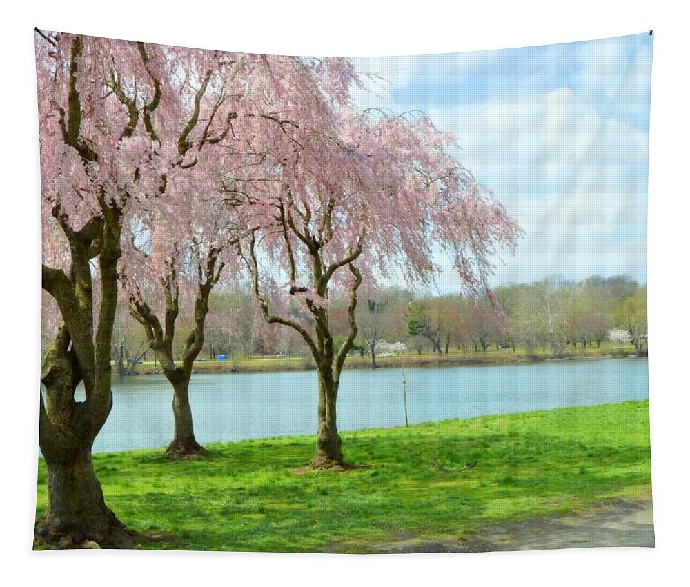 Weeping Cherry Trees Tapestry featuring the photograph April In Philadelphia by Marla McPherson