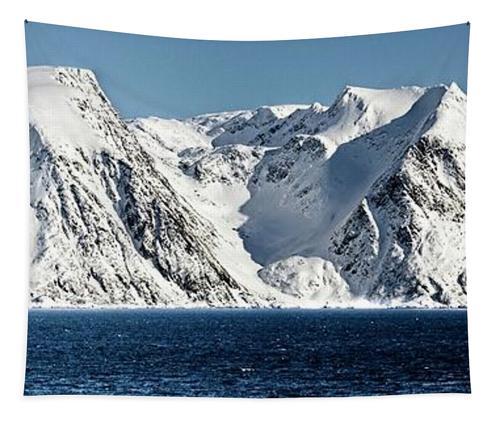 Artic Mountain Panorama Tapestry featuring the photograph Arctic Panorama by Martyn Arnold