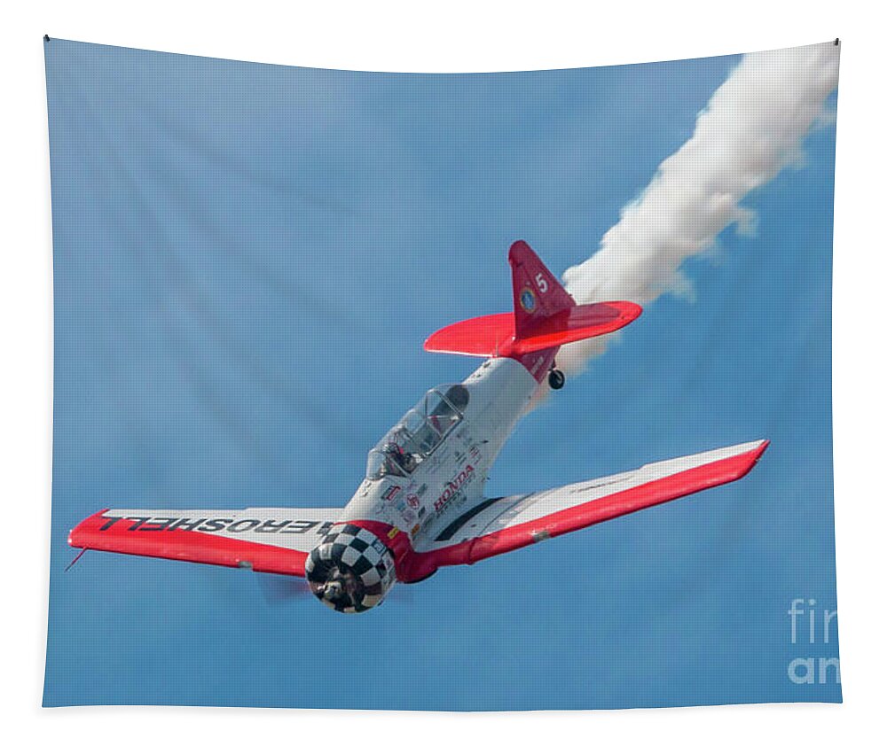 Plane Tapestry featuring the photograph Aeroshell Dive by Tom Claud