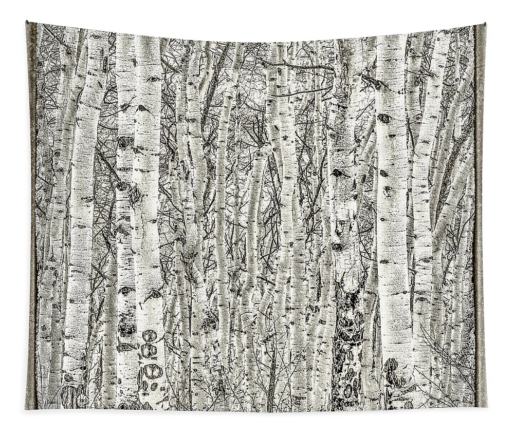 Artistic Tapestry featuring the photograph Artistic Aspen by Melissa Lipton