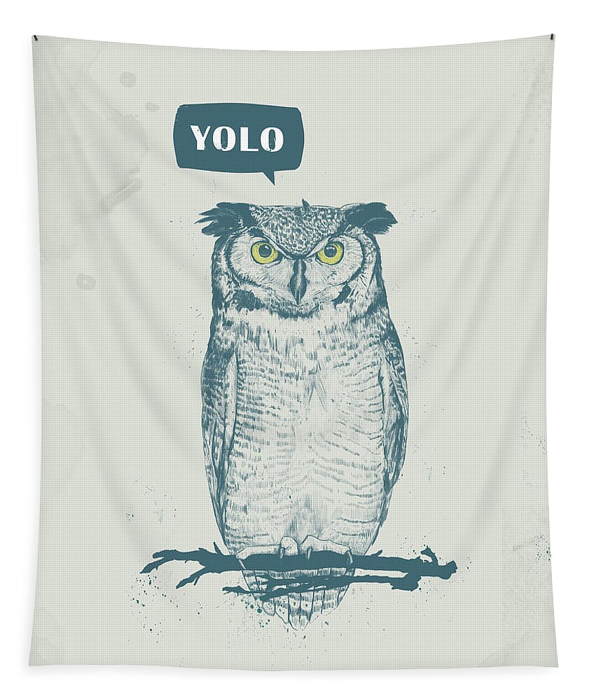 Owl Tapestry featuring the mixed media Yolo by Balazs Solti