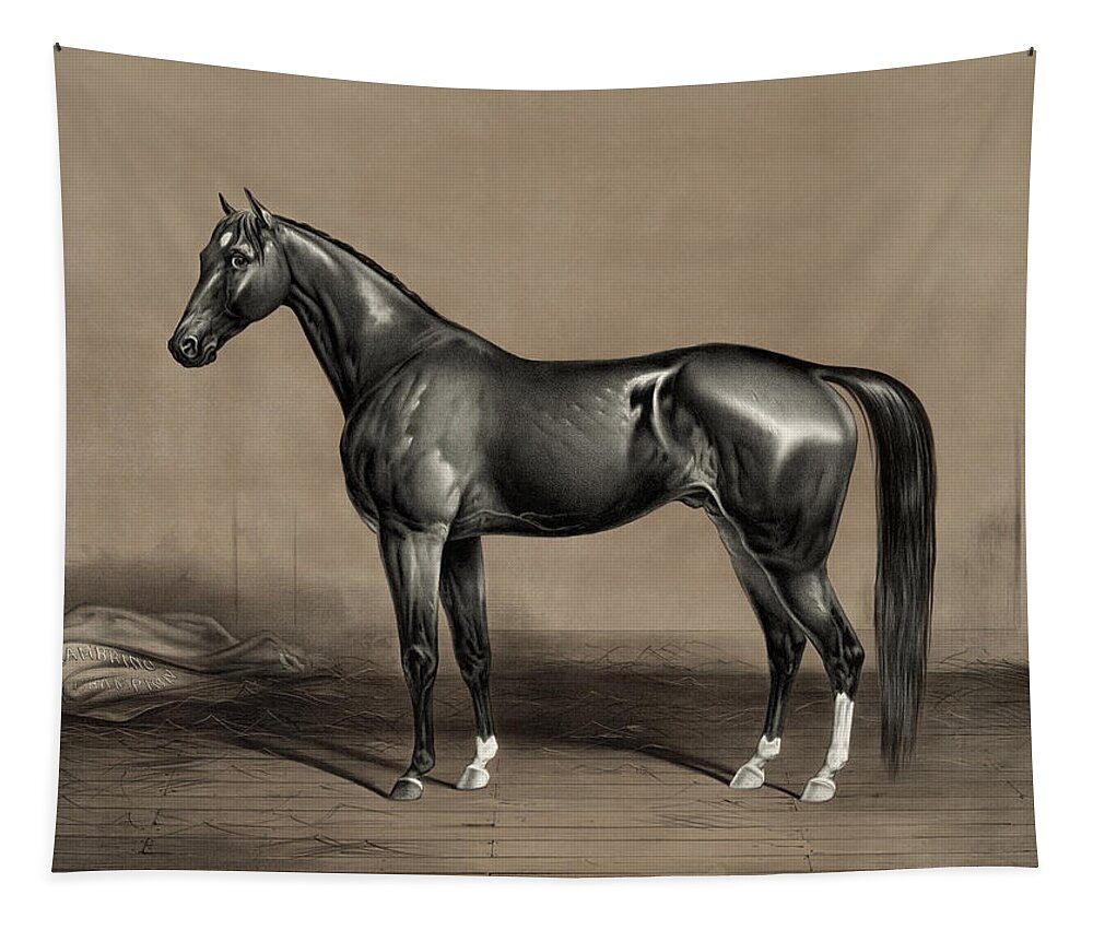 Udsøgt Bliv såret design Trotting Champion Stallion - Mambrino - Vintage Horse Racing Print Tapestry  for Sale by War Is Hell Store