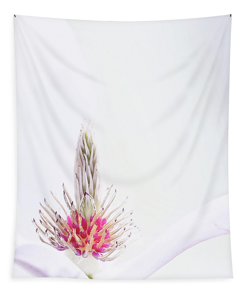 Magnolia Tapestry featuring the photograph The Heart of a Magnolia by Anita Pollak