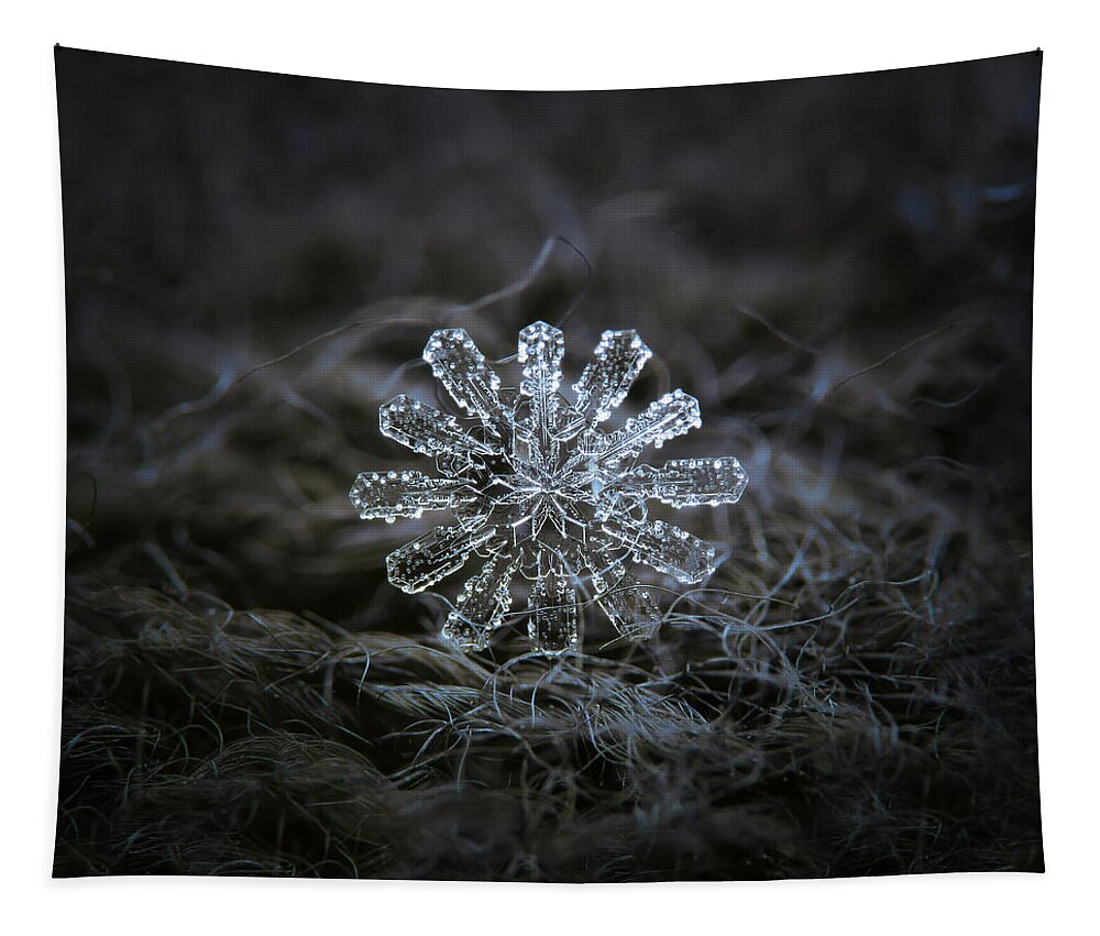 Snowflake Tapestry featuring the photograph December 18 2015 - snowflake 3 by Alexey Kljatov
