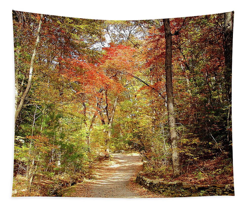Pathway Tapestry featuring the photograph As We Go by Allen Nice-Webb