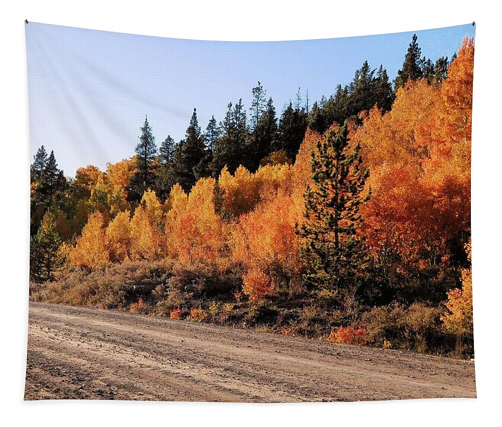 Aspens Tapestry featuring the photograph Aspen Trail by Karen Stansberry