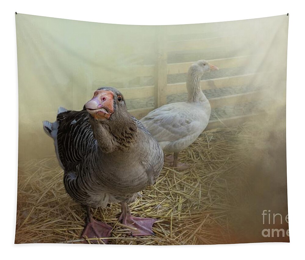Toulouse Geese Tapestry featuring the photograph At the Farm by Eva Lechner