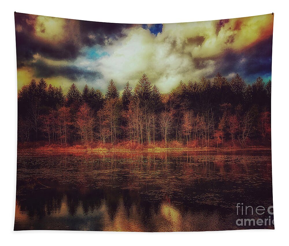 Lake Tapestry featuring the photograph Autumn at the Lake by David Rucker