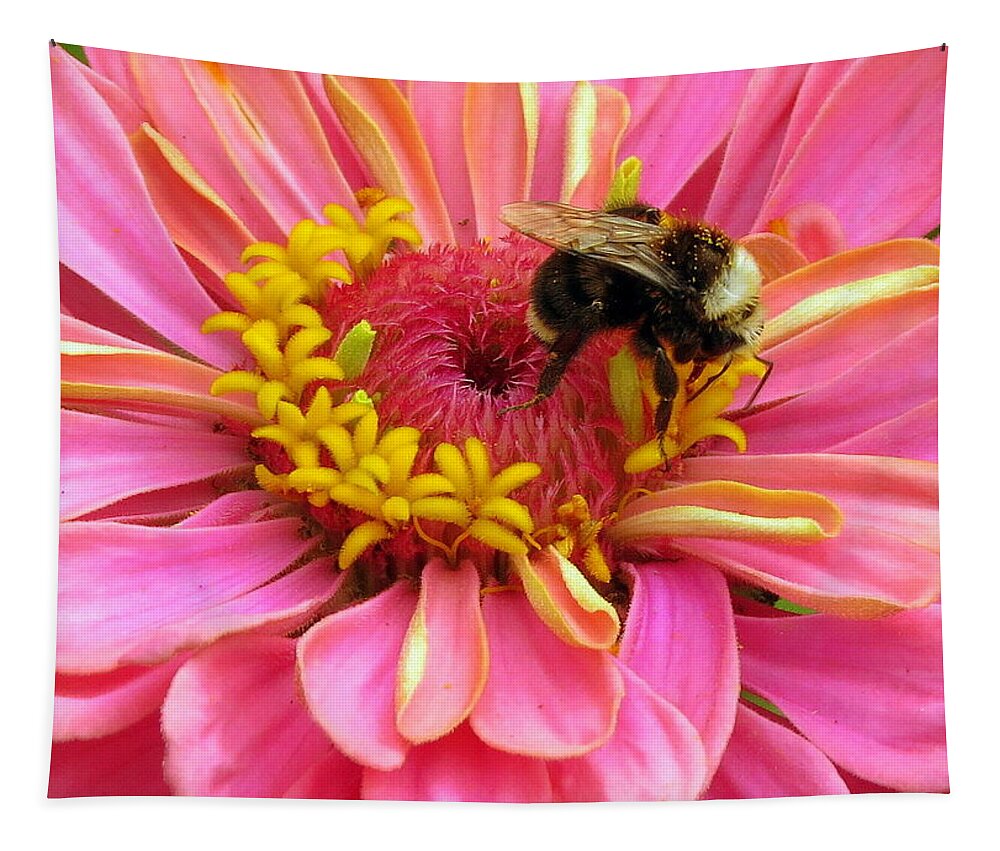 Bumble Bee Tapestry featuring the photograph Autumn Gatherer by Linda Vanoudenhaegen