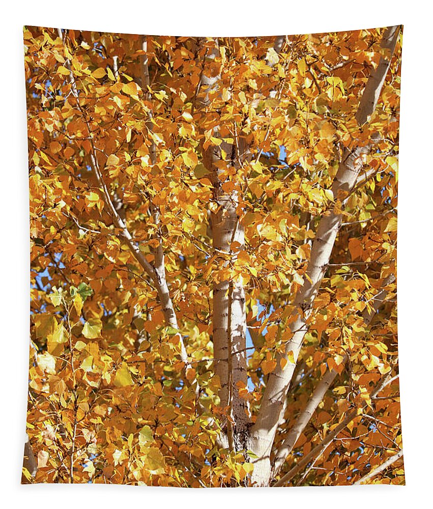 Yellow Tapestry featuring the photograph Autumn Golden Leaves by Carol Groenen