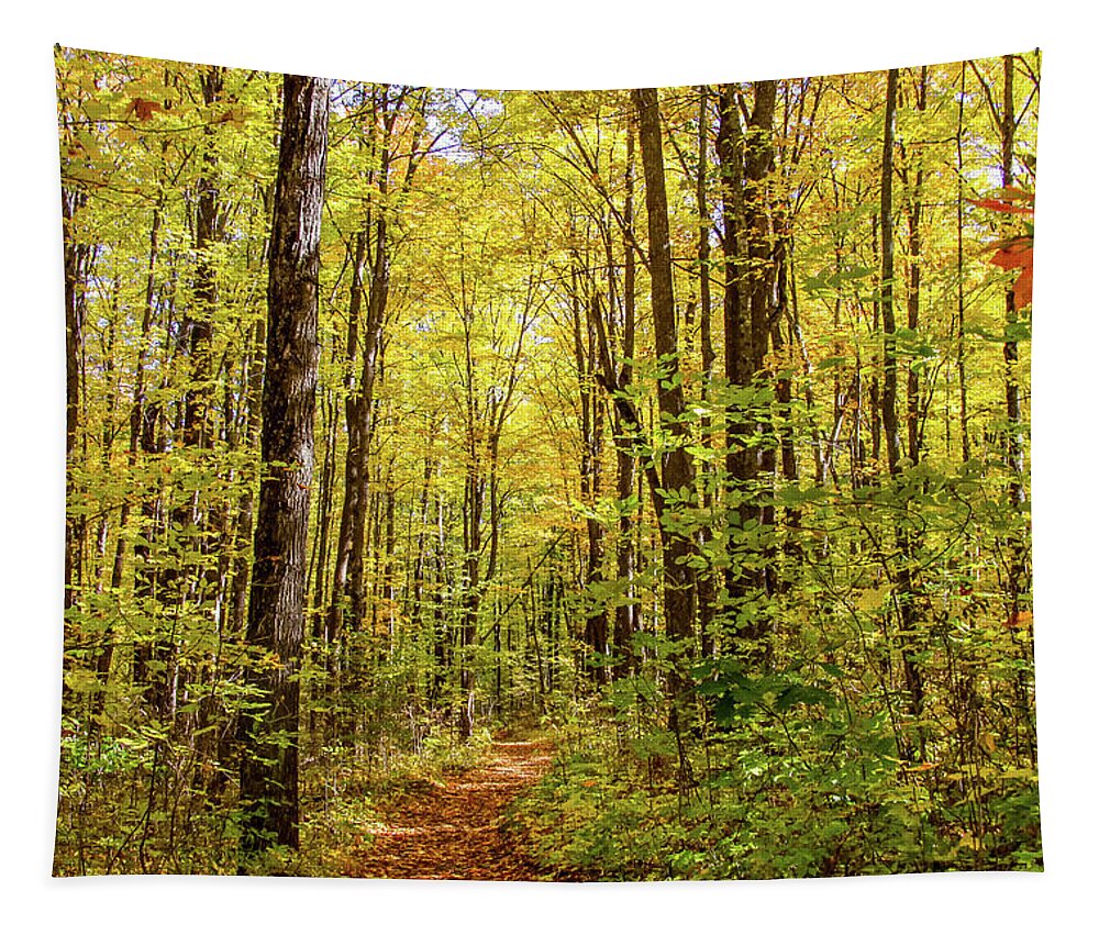 Autumn Colors Tapestry featuring the photograph Autumn Hike by Dawn Richards