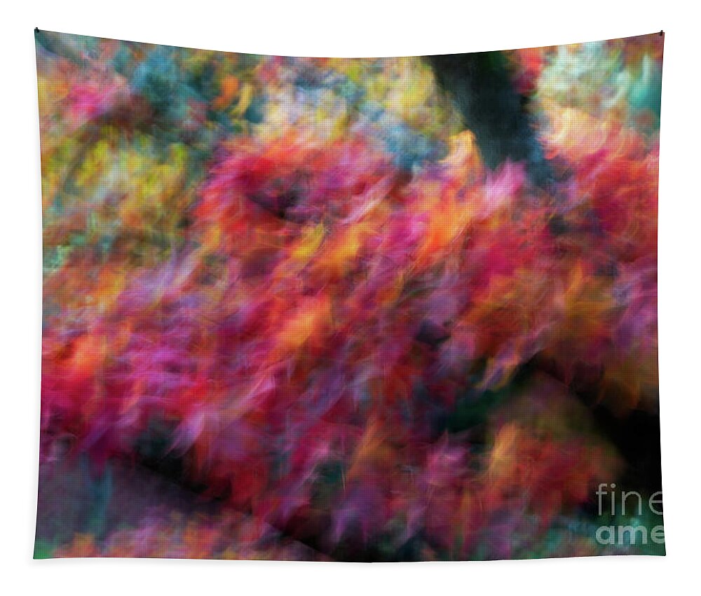 Abstract Tapestry featuring the photograph Autumn Impressions 5 by Venetta Archer