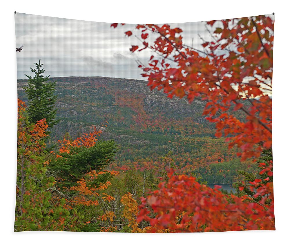 Acadia National Park Tapestry featuring the photograph Autumn in Acadia by Paul Mangold
