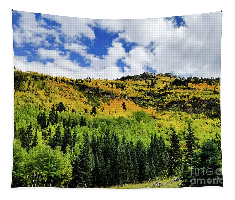 Colorado Tapestry featuring the photograph Autumn in Colorado by Elizabeth M