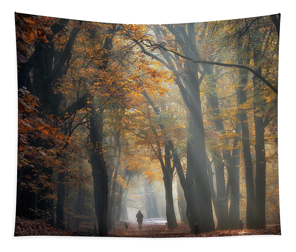 Autumn Tapestry featuring the photograph Autumn in the Leuvenum forest by Jenco Van Zalk