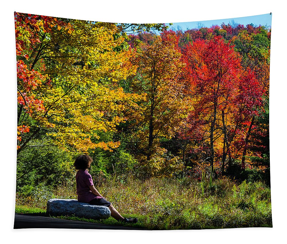 Autumn Leaves Tapestry featuring the photograph Autumn Leaves in the Catskill Mountains by Kenneth Cole